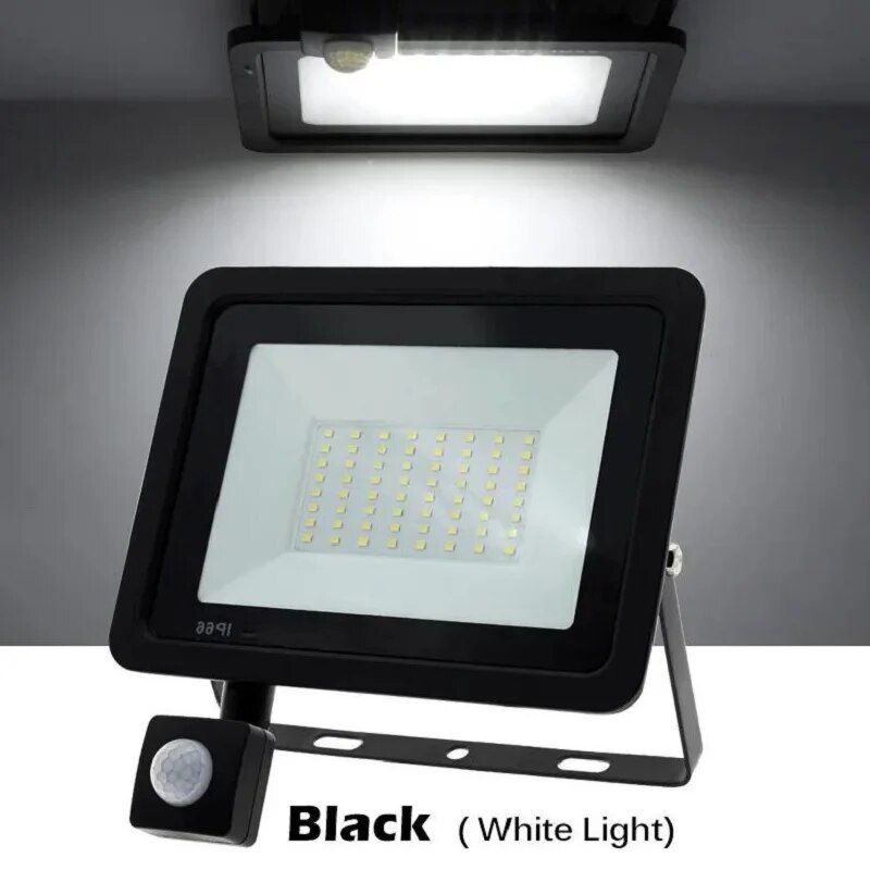 PIR Motion Sensor LED Floodlig - Outdoor Lighting Linear 评论和价格