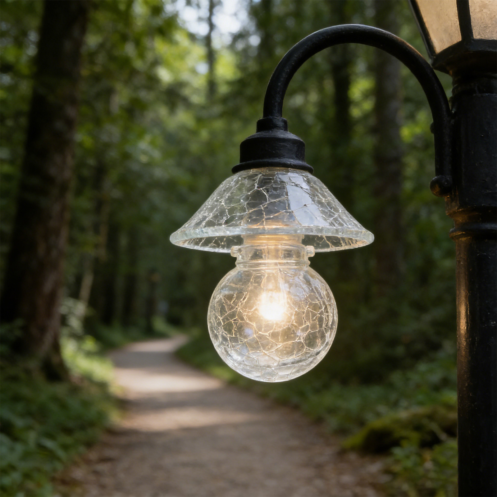 8Pcs Glass Globe Lamp Shade Cr - Outdoor Lighting Glass Replacement 评论和价格