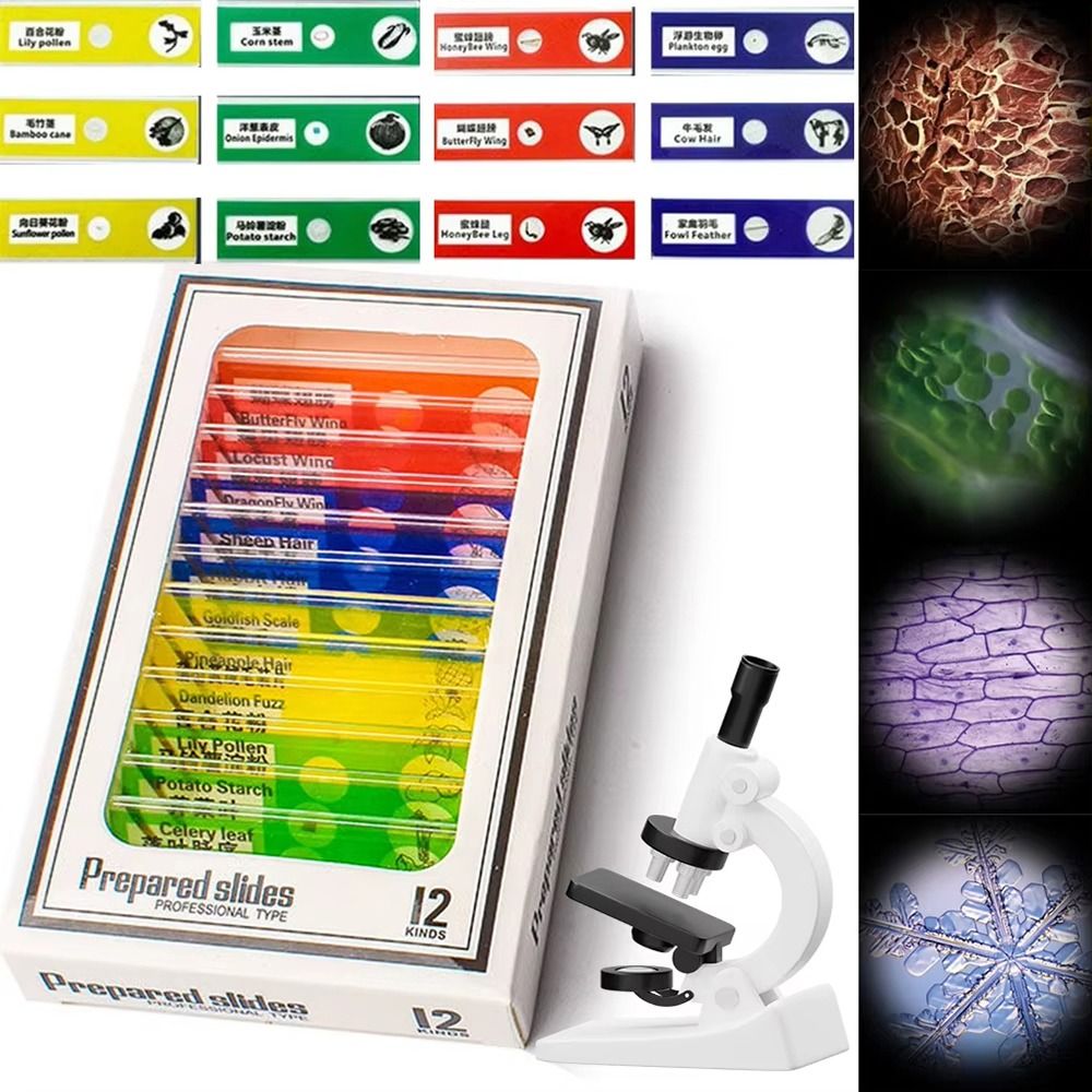 1Pcs 60-120X Pocket Microscope - Outdoor Lighting Kits 评论和价格