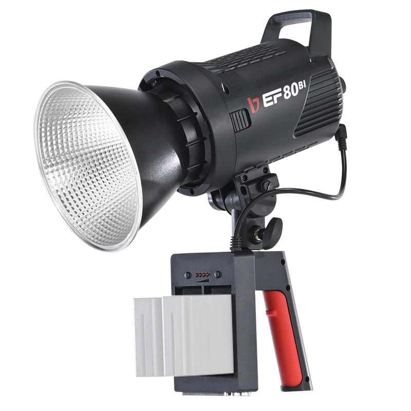 JINBEI EF-80Bi Handheld LED Vi - Outdoor Lighting Kits 评论和价格