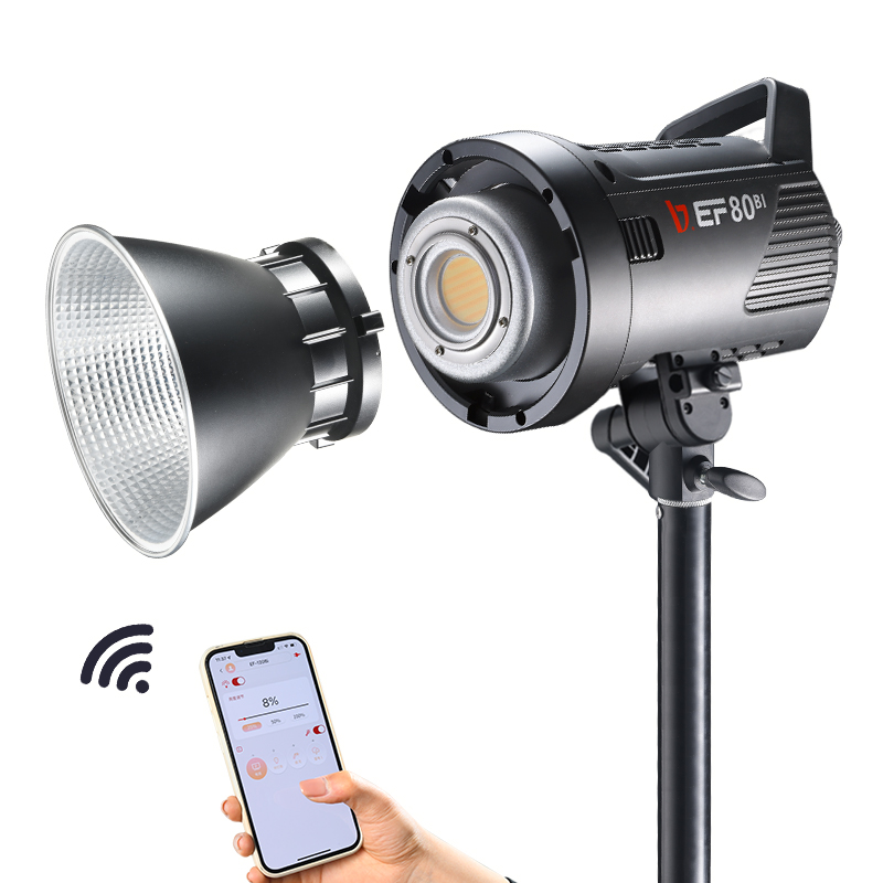 JINBEI EF-80Bi Handheld LED Vi - Outdoor Lighting Kits 评论和价格
