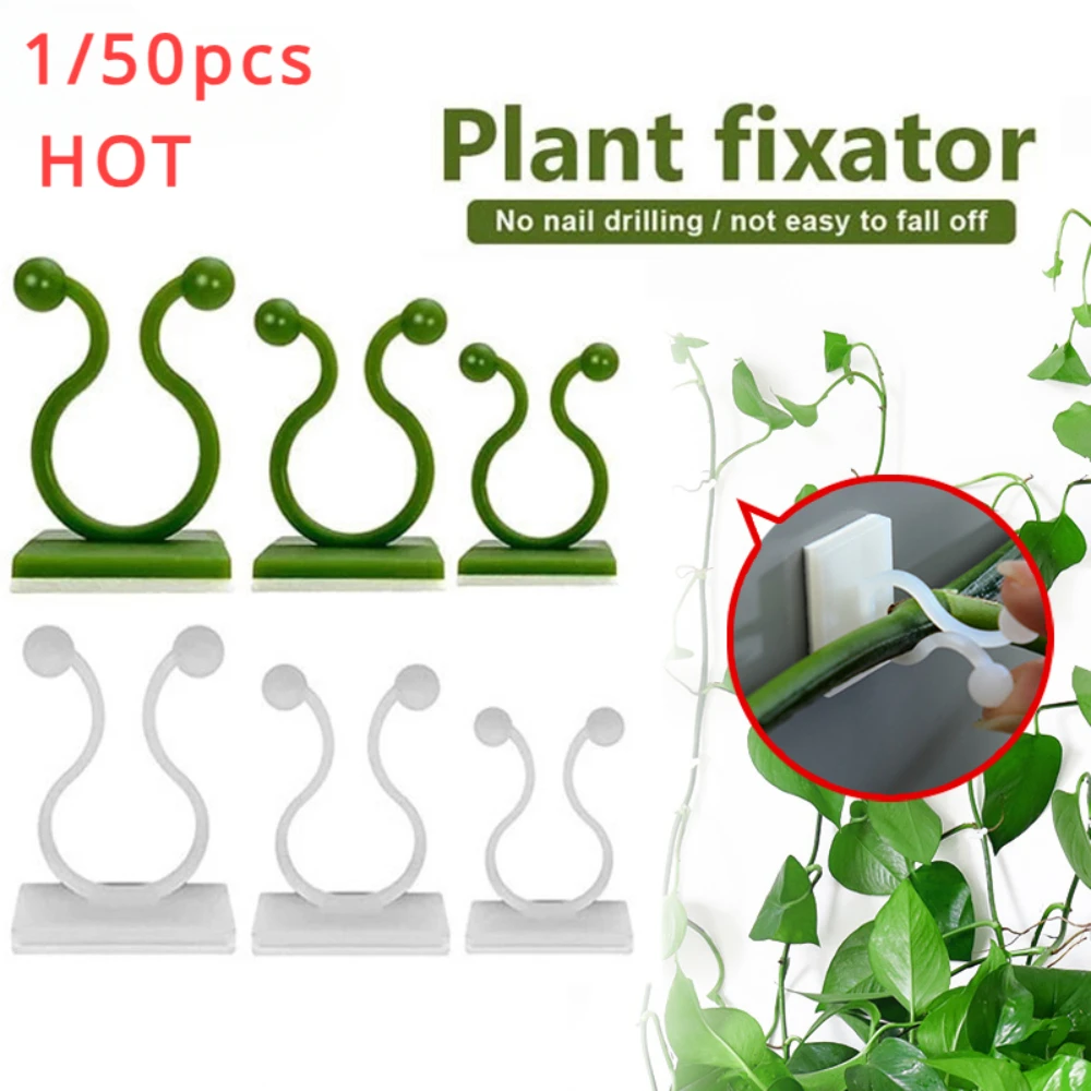 1/30/50Pcs For Garden Accsesor - Outdoor Lighting Linear 评论和价格