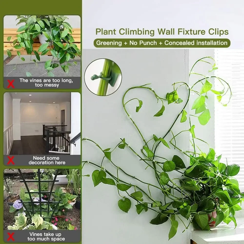 1/30/50Pcs For Garden Accsesor - Outdoor Lighting Linear 评论和价格