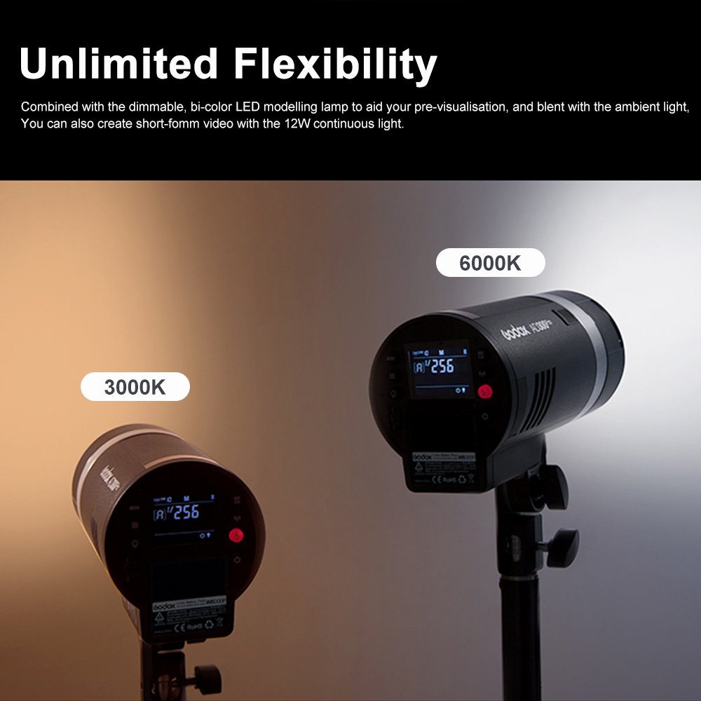 Godox AD300Pro Outdoor Flash L - Outdoor Lighting Kit Photography 评论和价格