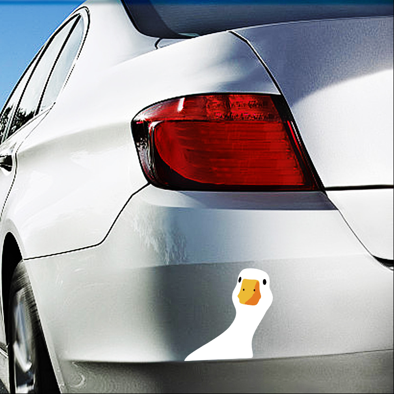 Car Safety for Doubtful Duck C - Outdoor Lighting Kits 评论和价格