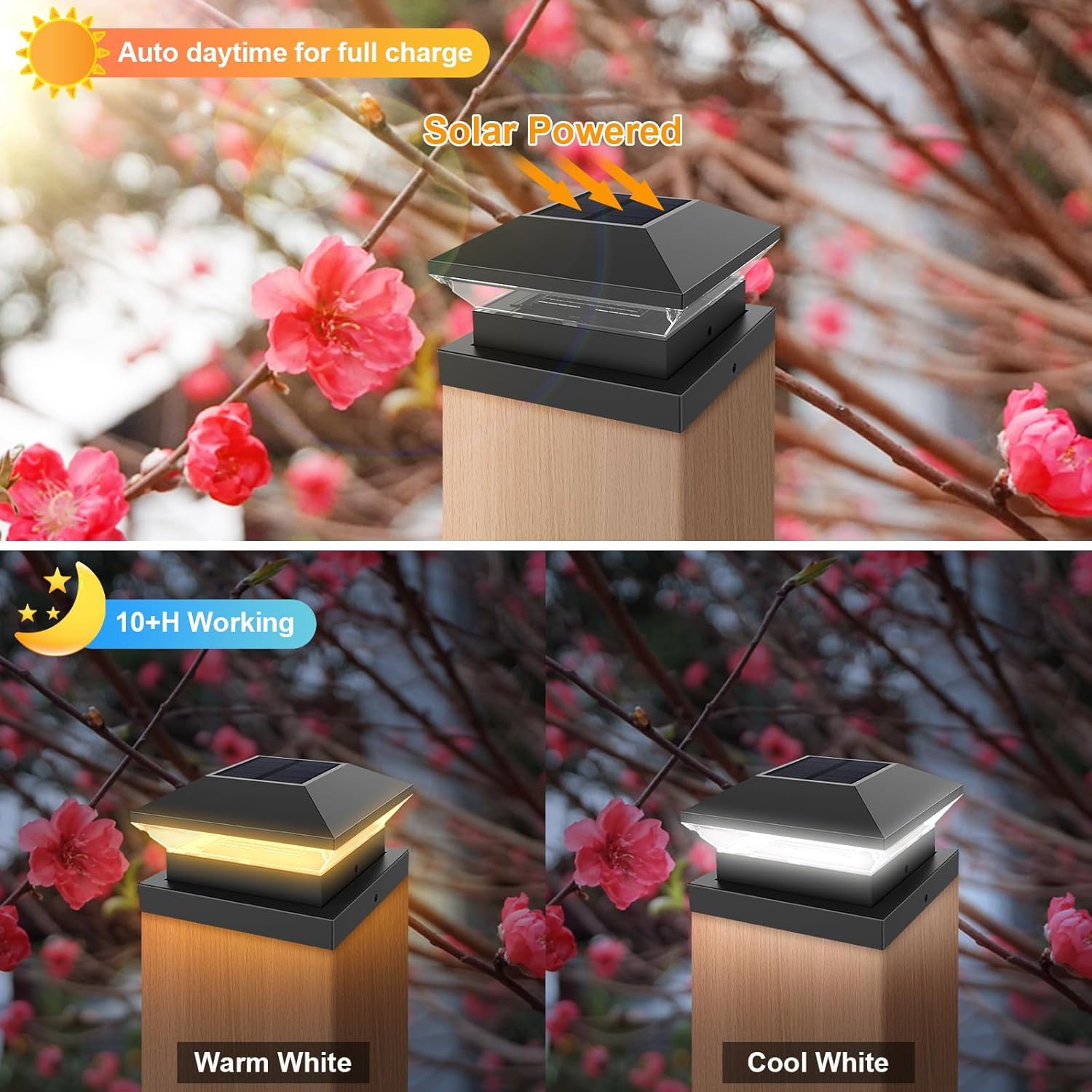 Solar Post Light Post Caps Sol - Post Cap Light 评论和价格